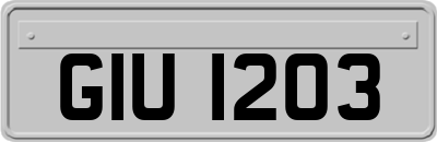 GIU1203