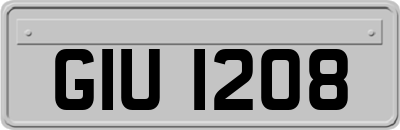 GIU1208