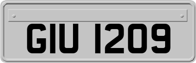 GIU1209