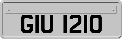 GIU1210