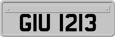 GIU1213