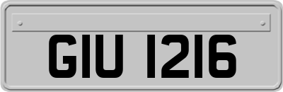 GIU1216