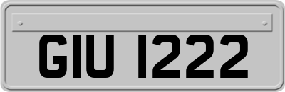 GIU1222