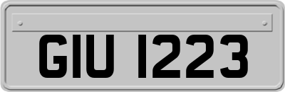 GIU1223