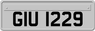 GIU1229