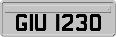 GIU1230