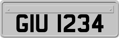 GIU1234