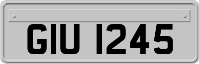 GIU1245