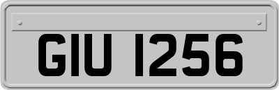 GIU1256