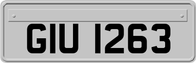 GIU1263