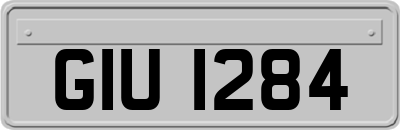GIU1284