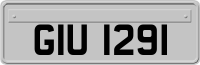 GIU1291