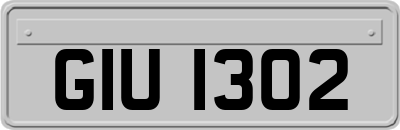 GIU1302