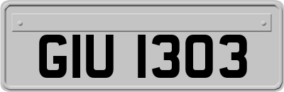 GIU1303