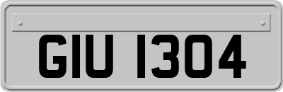 GIU1304