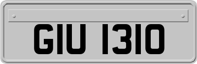 GIU1310