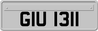 GIU1311