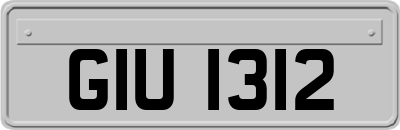 GIU1312