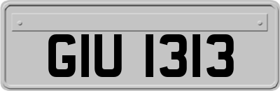 GIU1313