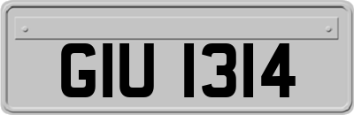 GIU1314
