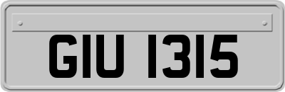 GIU1315