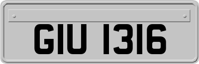 GIU1316
