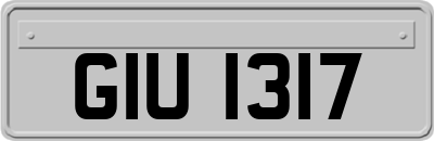 GIU1317