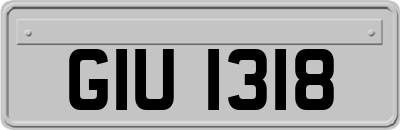 GIU1318