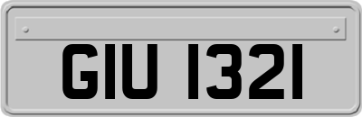 GIU1321