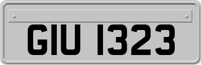 GIU1323