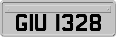 GIU1328