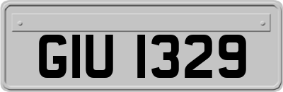 GIU1329