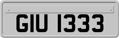 GIU1333