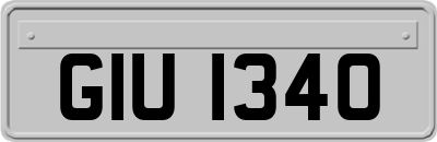 GIU1340