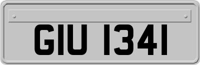 GIU1341