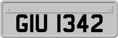 GIU1342