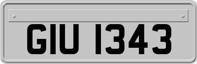GIU1343