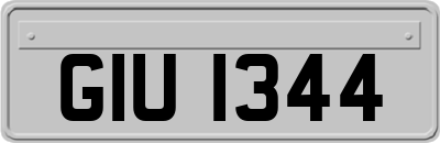 GIU1344
