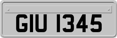 GIU1345