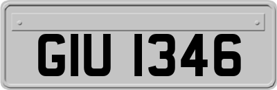 GIU1346