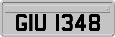 GIU1348