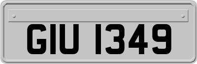 GIU1349