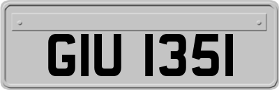 GIU1351