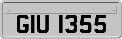 GIU1355