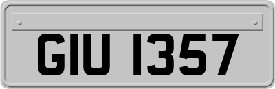 GIU1357