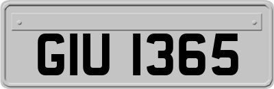 GIU1365