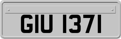 GIU1371