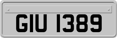 GIU1389