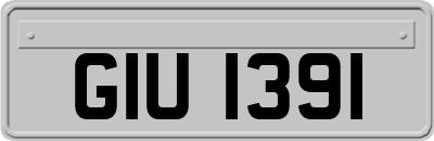 GIU1391