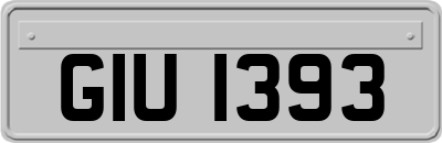 GIU1393